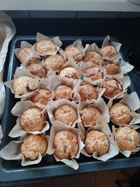 IMG20240125112615538